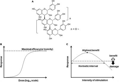 Frontiers | Hormetic Response To B-type Procyanidin Ingestion Involves ...